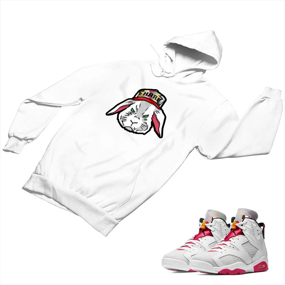 Jordan 6 Neutral Gray Matching Custom Designed Hoodies JD 6-22-3